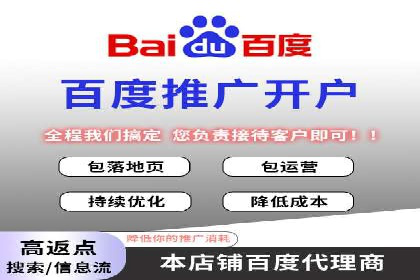 搜索引擎营销（SEM）的投放策略与效果评估——以某行业领先企业的案例分析